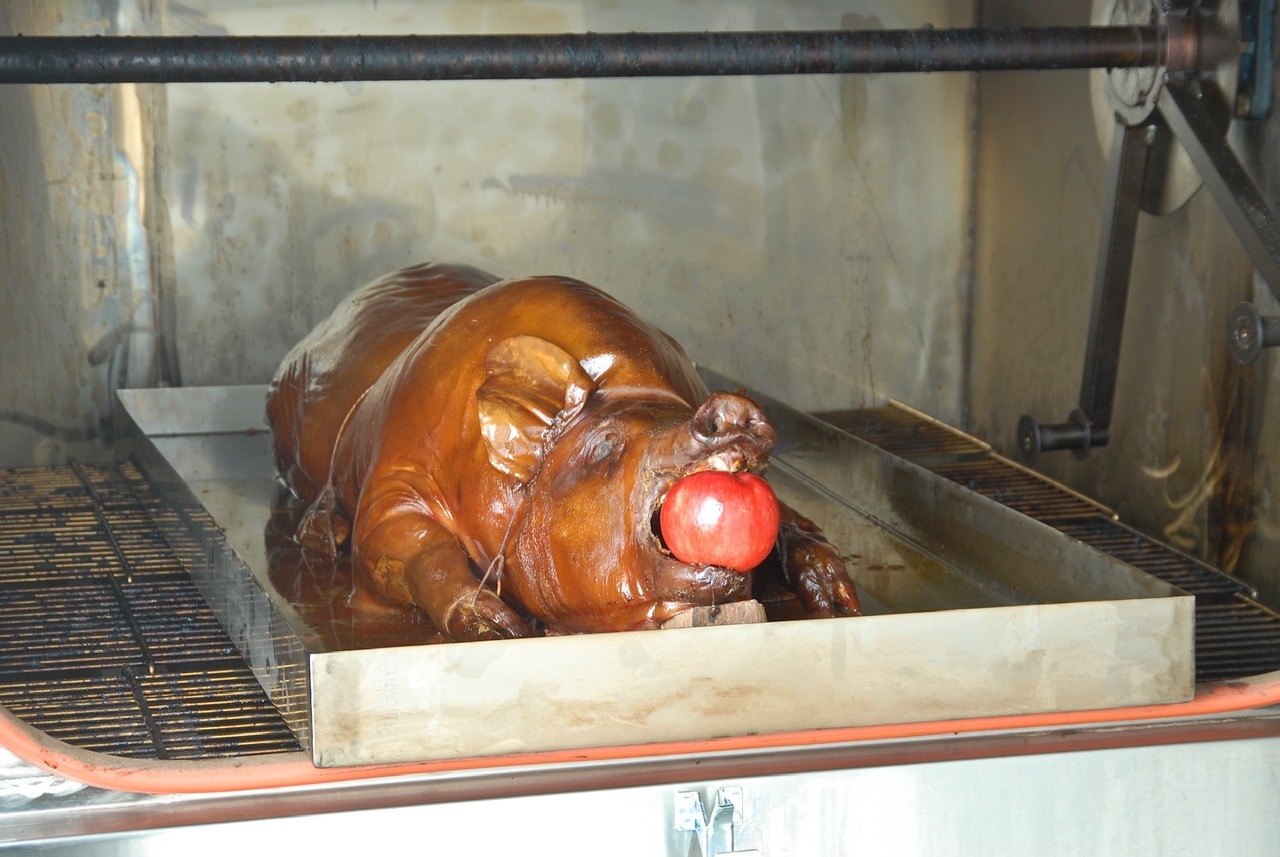 A Tray of a Baked Hog in an Oven